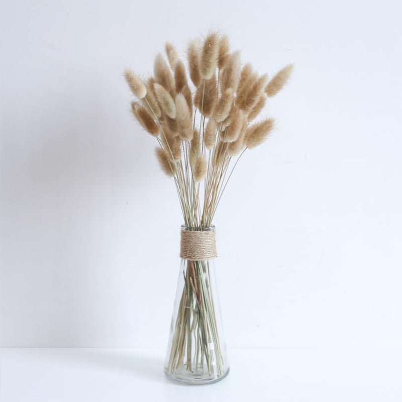 Eeaivnm 60PCS Rabbit Tail Grass Dried Flowers Dried Natural Floral Arrangement Bunch Decoration Dried Grass,Eternal Flower Dried Grass for Home,Wedding,Party,Flower Bouquet,Photo Props Decor (Natural Color) - Image 4