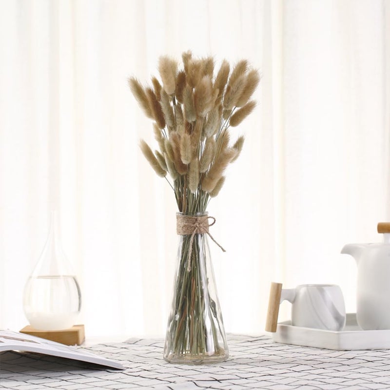 Eeaivnm 60PCS Rabbit Tail Grass Dried Flowers Dried Natural Floral Arrangement Bunch Decoration Dried Grass,Eternal Flower Dried Grass for Home,Wedding,Party,Flower Bouquet,Photo Props Decor (Natural Color) - Image 5