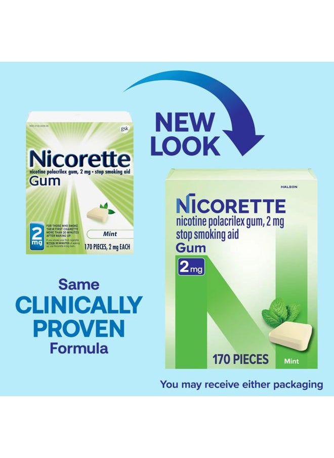 nicorette 2mg Nicotine Gum to Quit Smoking - Mint Flavored Stop Smoking Aid, 170 Count  - Image 2