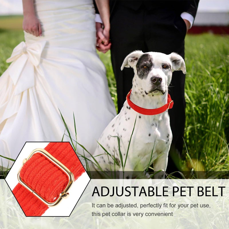 Small Pet Collar With Metal Buckle For Puppies Adjustable Xs - Image 4