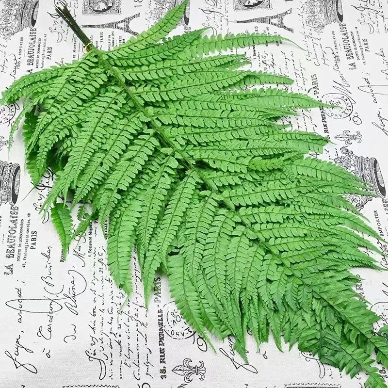 Bluejw Nordic Preserved Fern Leaves - Dried Plants for Valentine's Day Wedding Home Decor - Image 3