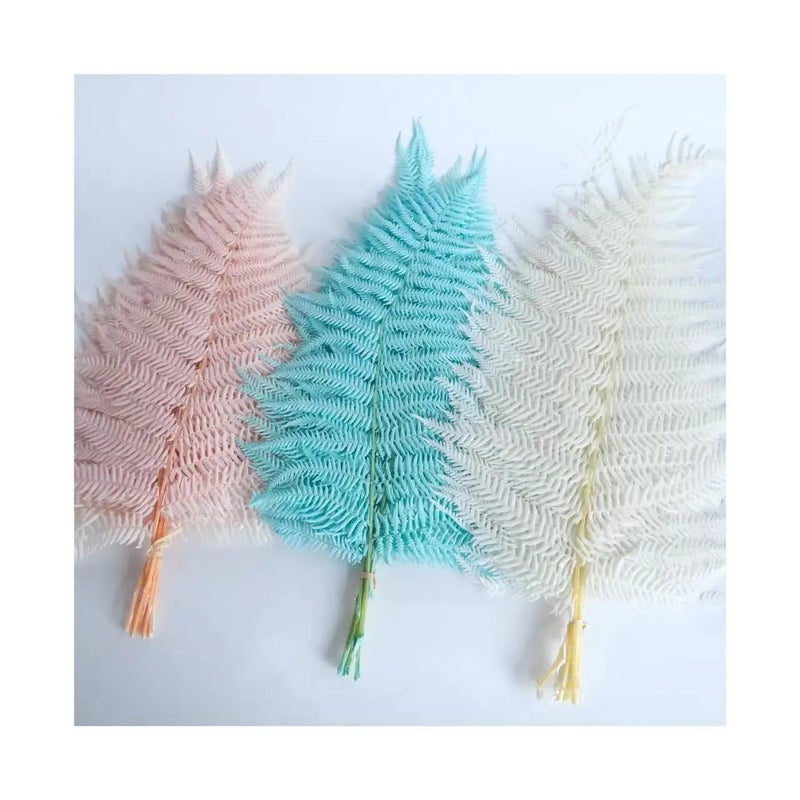 Bluejw Nordic Preserved Fern Leaves - Dried Plants for Valentine's Day Wedding Home Decor - Image 2