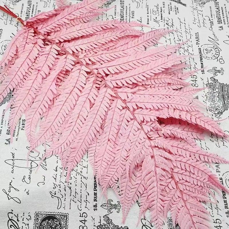 Bluejw Nordic Preserved Fern Leaves - Dried Plants for Valentine's Day Wedding Home Decor - Image 5