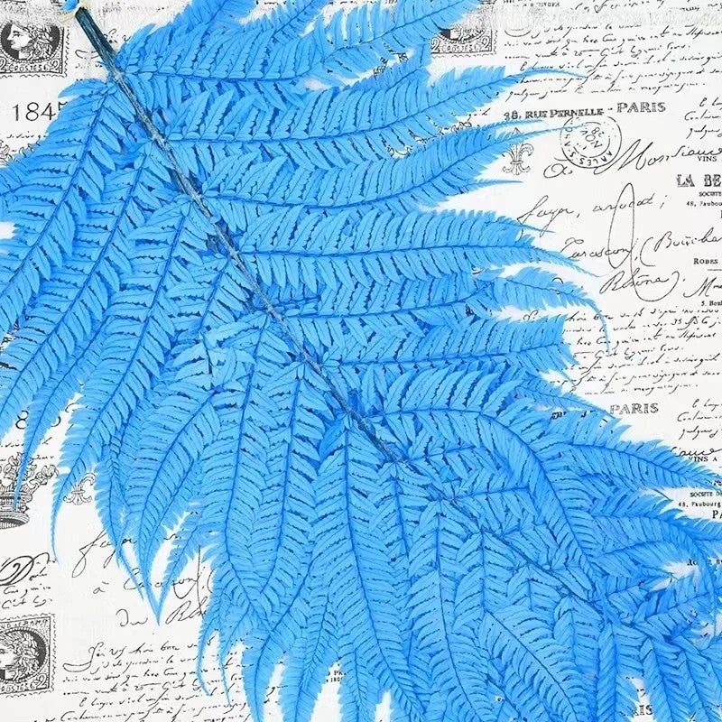 Bluejw Nordic Preserved Fern Leaves - Dried Plants for Valentine's Day Wedding Home Decor - Image 4