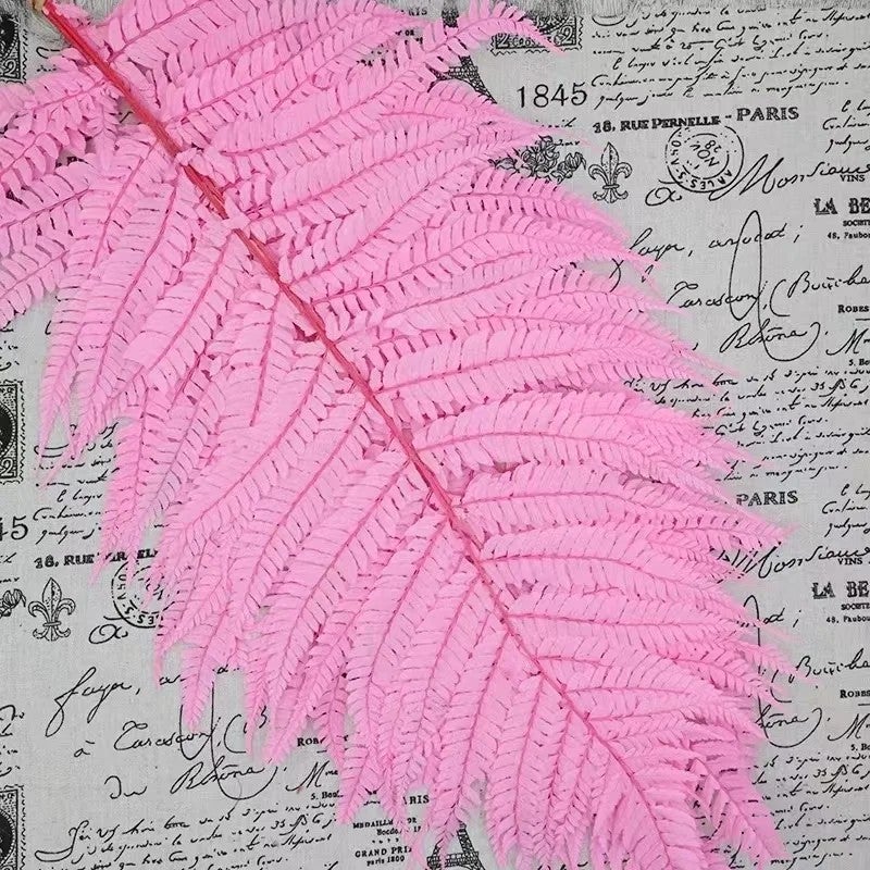 Bluejw Nordic Preserved Fern Leaves - Dried Plants for Valentine's Day Wedding Home Decor - Image 1