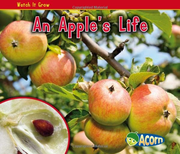 An Apples Life Watch It Grow  - Image 1