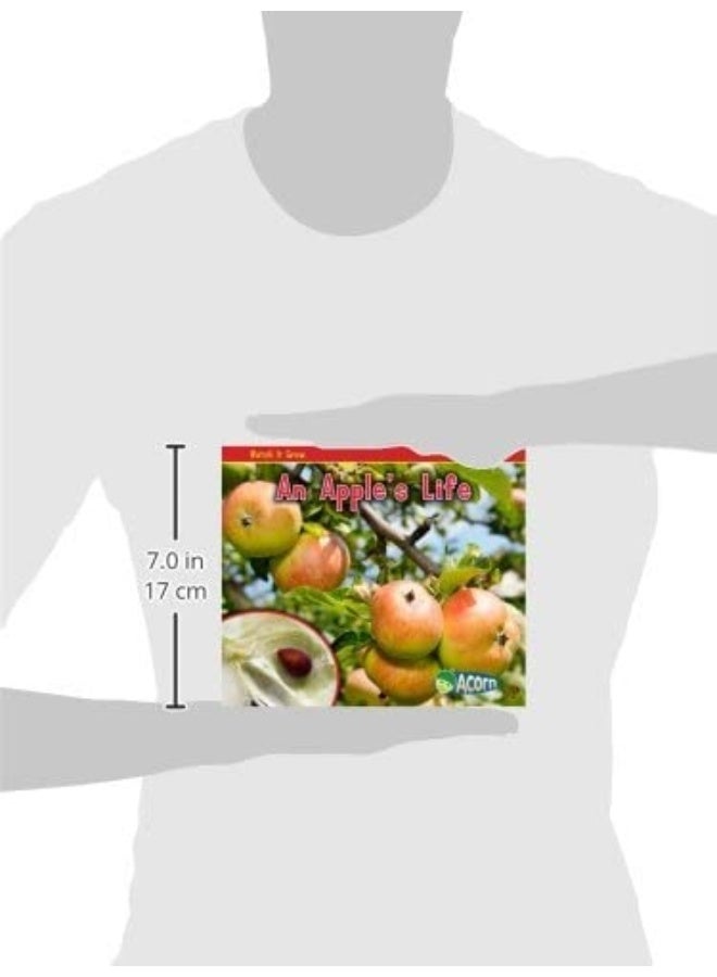 An Apples Life Watch It Grow  - Image 2