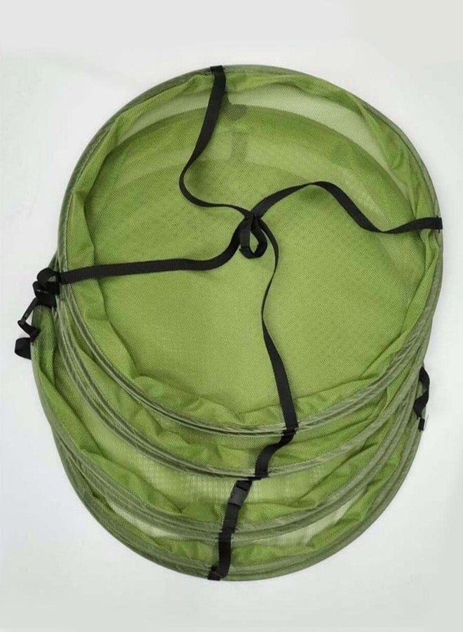 ATORSE 4 Layer 2Ft Hanging Mesh Herb Drying Rack Collapsible Green LightweightHome & Garden|Yard Garden & Outdoor Living|Gardening Supplies|Hydroponics & Seed Starting|Tents Tarps & Shelves - Image 2