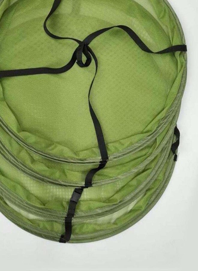 ATORSE 4 Layer 2Ft Hanging Mesh Herb Drying Rack Collapsible Green LightweightHome & Garden|Yard Garden & Outdoor Living|Gardening Supplies|Hydroponics & Seed Starting|Tents Tarps & Shelves - Image 3