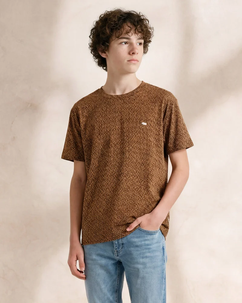 ردتاغ Boys Brown Printed T-Shirt