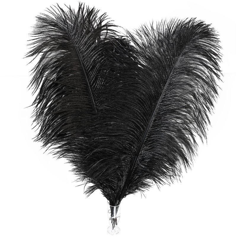 Soarer Black Ostrich Feathers Bulk - 30pcs 8-10 inches for Wedding Party Centerpieces, Home Decorations and DIY Crafts(Black) - Image 1
