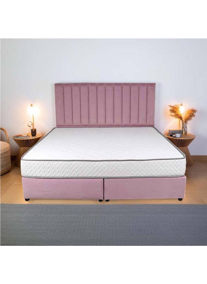 Bed and Mattress Zone Opulence Upholstered Bed 203 X 200 Super King Size Pink Color, Mattress Size-200x200cm (Mattress sold separately)  - Image 5