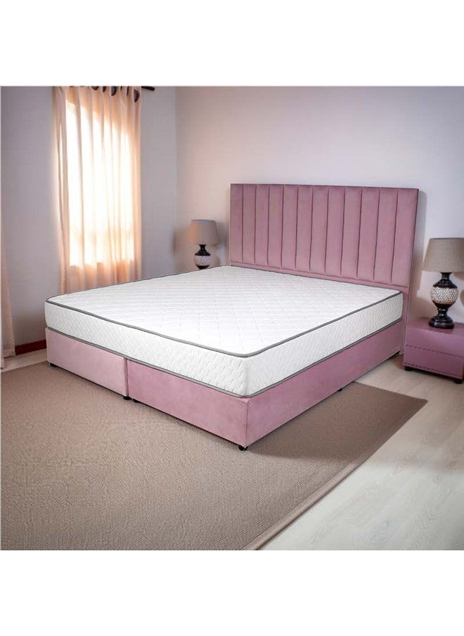 Bed and Mattress Zone Opulence Upholstered Bed 203 X 200 Super King Size Pink Color, Mattress Size-200x200cm (Mattress sold separately)  - Image 1