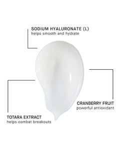 Arcona ARCONA Magic White Ice - Daily Oil Free Moisturizer - Hyaluronic Acid Moisturizer with Organic Aloe, Tea Tree, Vitamin C & Glyercin -Made In The USA  - Image 2