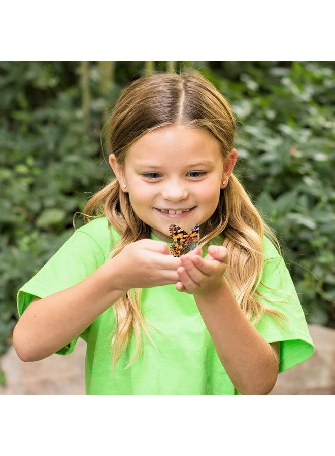 Insect Lore Butterfly Mini Garden Gift Set With Live Cup Of Caterpillars Life Science & Stem Education Best Birthday Gift, For Boys & Girls Age 4 5 6 7 8 Years Old - Image 5
