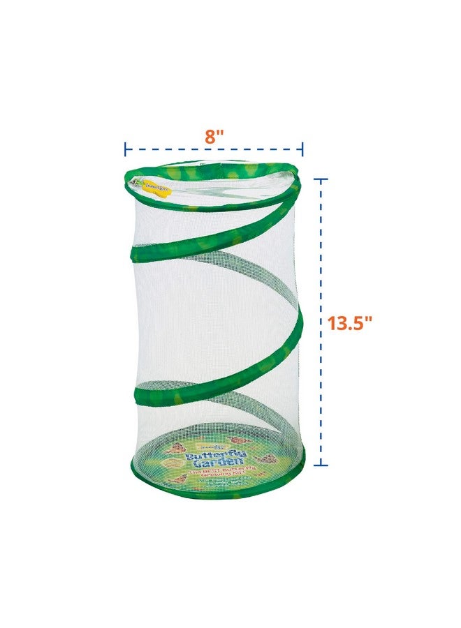 Insect Lore Butterfly Mini Garden Gift Set With Live Cup Of Caterpillars Life Science & Stem Education Best Birthday Gift, For Boys & Girls Age 4 5 6 7 8 Years Old - Image 2