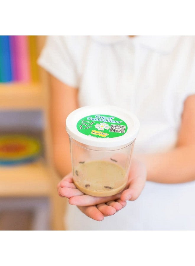 Insect Lore Butterfly Mini Garden Gift Set With Live Cup Of Caterpillars Life Science & Stem Education Best Birthday Gift, For Boys & Girls Age 4 5 6 7 8 Years Old - Image 3