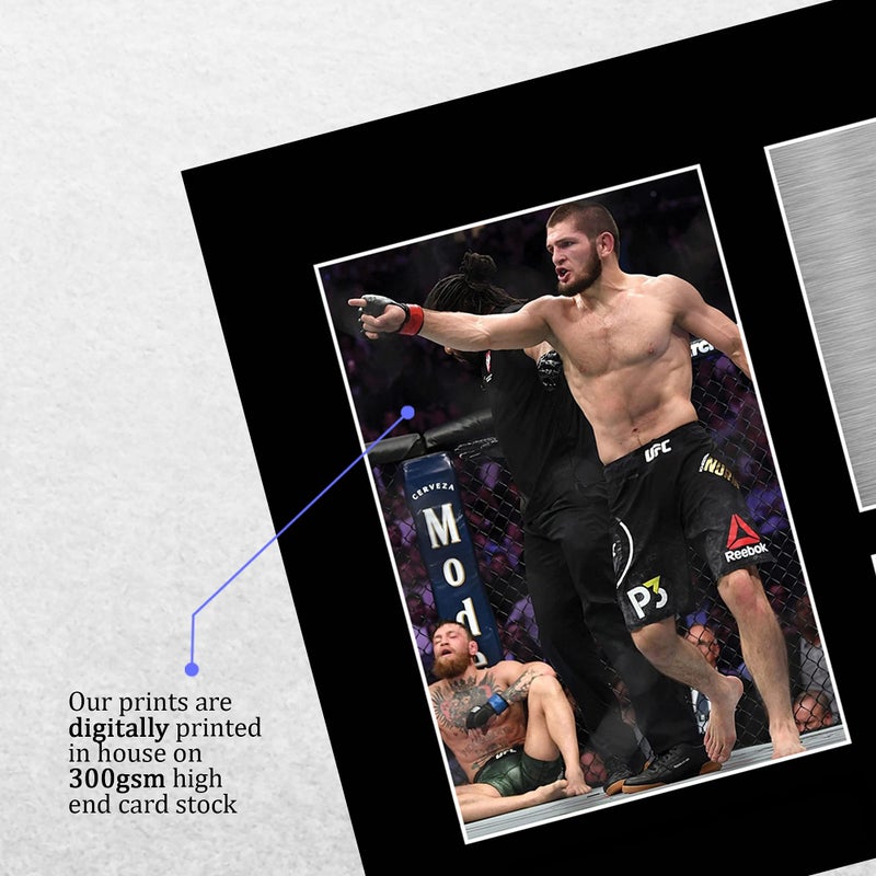 دب في - ديفيرن فيجن اوف ارت - ديفوفارت DVOFART بوستر حائط بطابع MMA لكhabib Nurmagomedov مع تصميم توقيع مطبوع، مقاس A4 بدون إطار - Image 4
