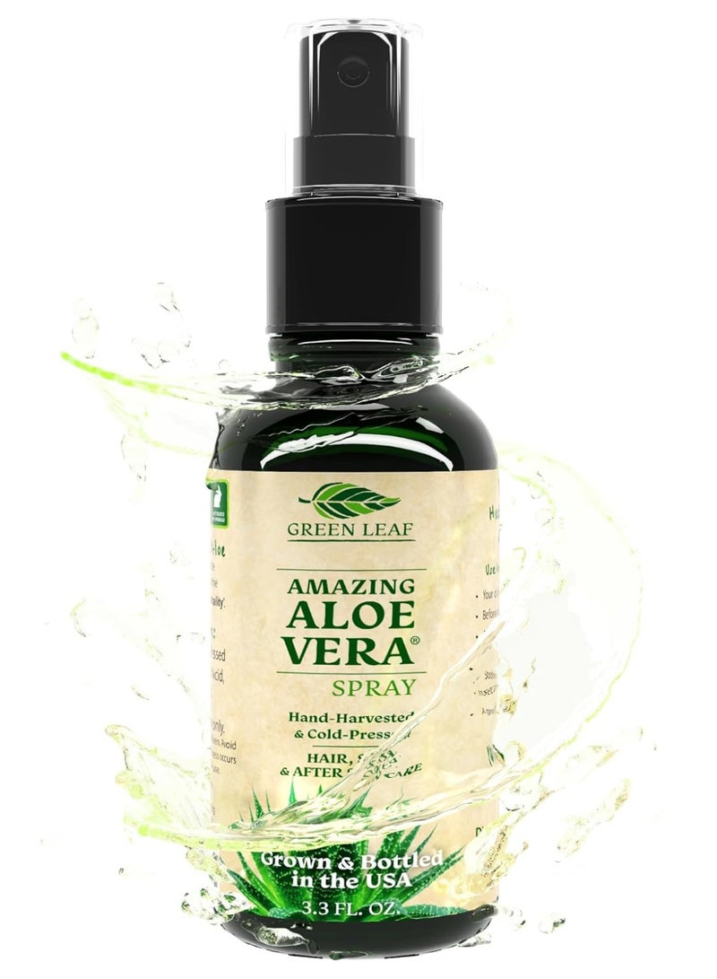 Green Leaf Naturals Aloe Vera Spray Bottle Travel Size | Vitamin C, E & A | Skin Care, Hair Spray, Facial Moisturizer, Hair Growth, Facial Cleanser, Sunburn Relief & After Sun Lotion 3.3oz - Image 1