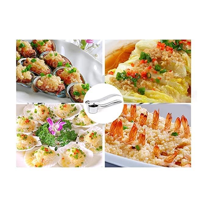 Garlic Presser Press MultiFunction Manual Portable Crusher Ginger Mincer Stainless Steel Garlic Presser Curved Grinding Slicer Squeeze Press Garlic Chopper Garlic for KitchenPack of 1  - Image 3