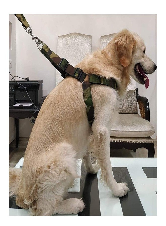 Hachiko Dog Muzzle Adjustable Proper Fetting for Dog Muzzle + Army Harness + Black Choke Collar + Steel Chain for All Large Breed Dogs.(Combo of 4) (Large) - Image 3