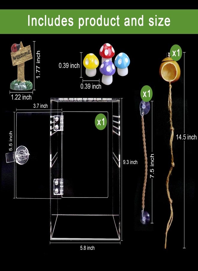 SORWATEE Spider Terrarium Kit, Jumping Spider Enclosure with Hideout, Rope Bridge, Ledge Ladder, Micro Habitat Terrarium for Small Tree Dwelling Reptiles, Arboreal Tarantula Enclosure (6x6x9 Inches) - Image 2