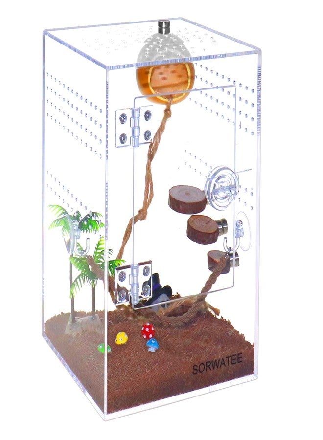 SORWATEE Spider Terrarium Kit, Jumping Spider Enclosure with Hideout, Rope Bridge, Ledge Ladder, Micro Habitat Terrarium for Small Tree Dwelling Reptiles, Arboreal Tarantula Enclosure (6x6x9 Inches) - Image 1
