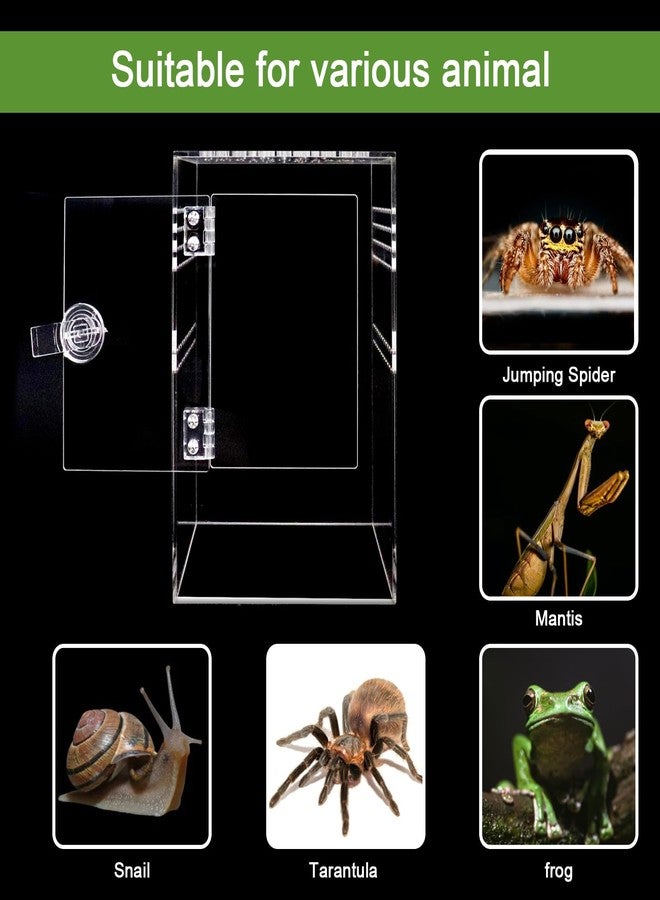 SORWATEE Spider Terrarium Kit, Jumping Spider Enclosure with Hideout, Rope Bridge, Ledge Ladder, Micro Habitat Terrarium for Small Tree Dwelling Reptiles, Arboreal Tarantula Enclosure (6x6x9 Inches) - Image 4