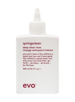 EVO EVO Springsclean Shampoo - Deep Cleansing & Gentle Moisturizing - For Natural Shiny Soft Curly & Wavy Hair  - Image 1