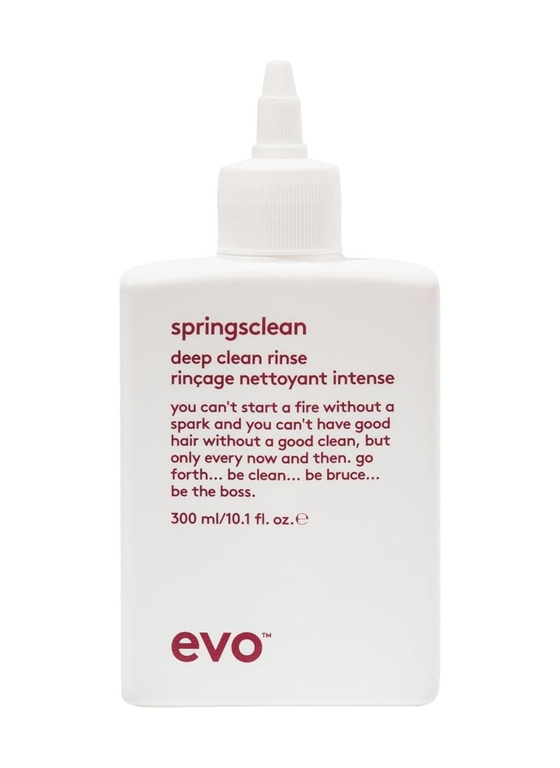 EVO EVO Springsclean Shampoo - Deep Cleansing & Gentle Moisturizing - For Natural Shiny Soft Curly & Wavy Hair  - Image 1