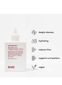 EVO EVO Springsclean Shampoo - Deep Cleansing & Gentle Moisturizing - For Natural Shiny Soft Curly & Wavy Hair  - Image 2