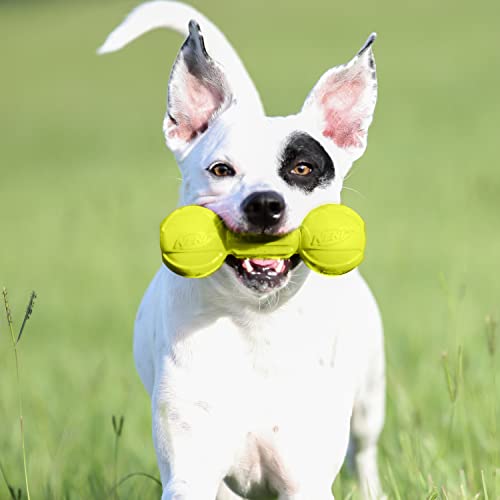 Nerf Dog Rubber Chew Barbell Dog Toy for Aggressive Chewers, Lightweight, Durable and Water Resistant, 7.5 Inches, for Medium/Large Breeds, Single Unit, Green (6994) - Image 2
