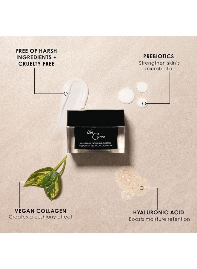 deborah lippmann The Cure Deep Repair Facial Night Cream | For Softer Plumper Hydrated Skin | Vegan Formula | No Animal Testing - Image 4