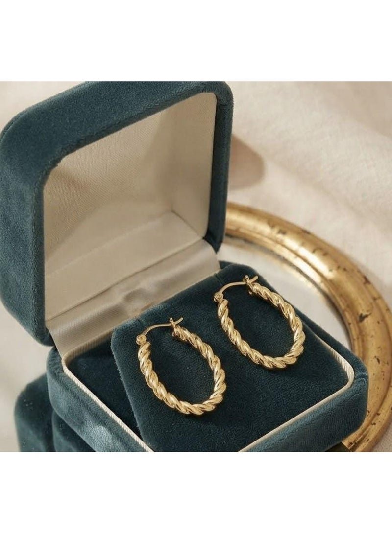 Luxuria Elegant and attractive gold-plated rope-shaped earrings for women. Jewelry for women. - Image 3