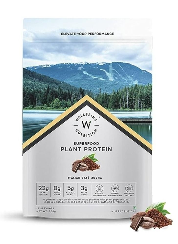 WELLBEING NUTRITION - Organic Vegan Plant Protein Powder 22G European Pea Protein Isolate 5G Bcaa, Superfoods, Fiber For Muscle Growth, Italian Cafe Mocha 500Gm - Image 1