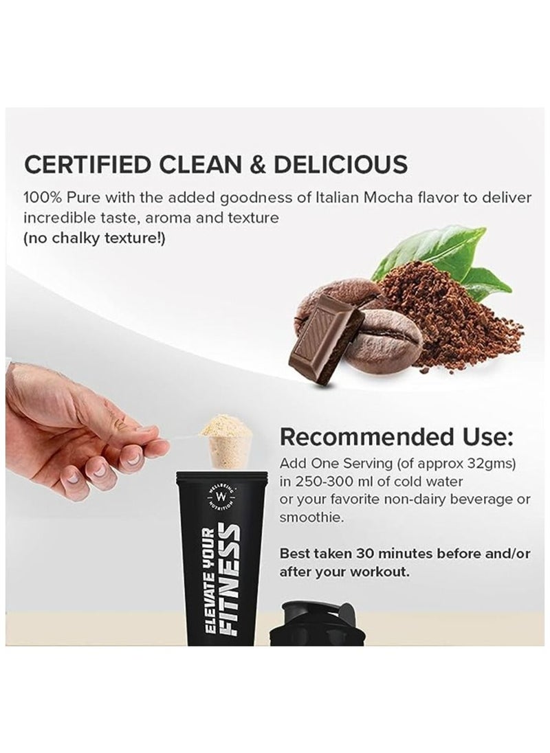 WELLBEING NUTRITION - Organic Vegan Plant Protein Powder 22G European Pea Protein Isolate 5G Bcaa, Superfoods, Fiber For Muscle Growth, Italian Cafe Mocha 500Gm - Image 1