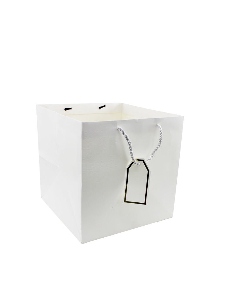 PARTY FUN Paper Gift Bag 25x25x25Cm 1 Pcs White Color  - Image 1