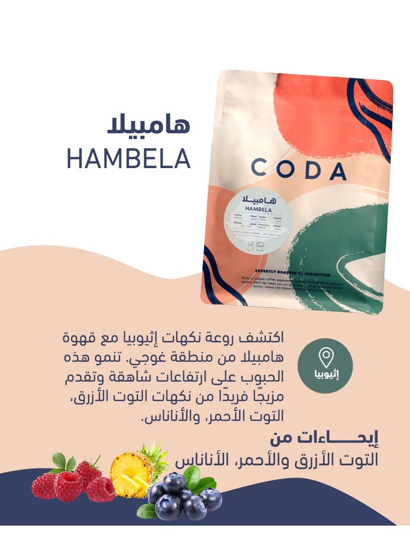 كودا باكج كودا 5 أنواع مميزة من حبوب القهوة المختصة | 250 جرام × 5 - Image 5