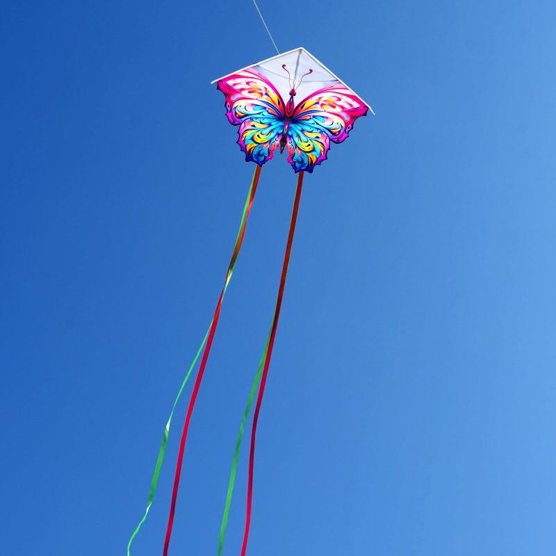 HENGDA KITE 2 Pack Butterfly Kite,for Kids and Adults,Easy to Fly,Excellent Fabric and Structure Design,The Pictures are Beautiful in high Definition,Suitable for Beginners(31x22) - Image 5