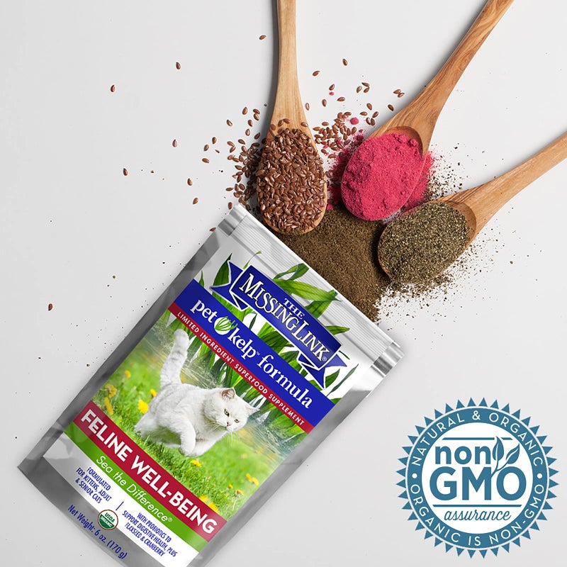 The Missing Link Pet Kelp Feline Well-Being 6oz Superfood Powdered Supplement, Organic & Limited Ingredient Formula for Digestive & Overall Health of Cats - Image 4