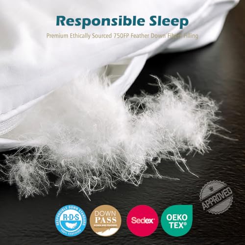 Cobnom® Luxury Organic Down Feather Comforter California King, High Fill-Power Down Feather Fibers Filled Duvet Insert, 100% Cotton Cover, Medium Warm for All-Season, Ivory White, 104x96 Inch - Image 4