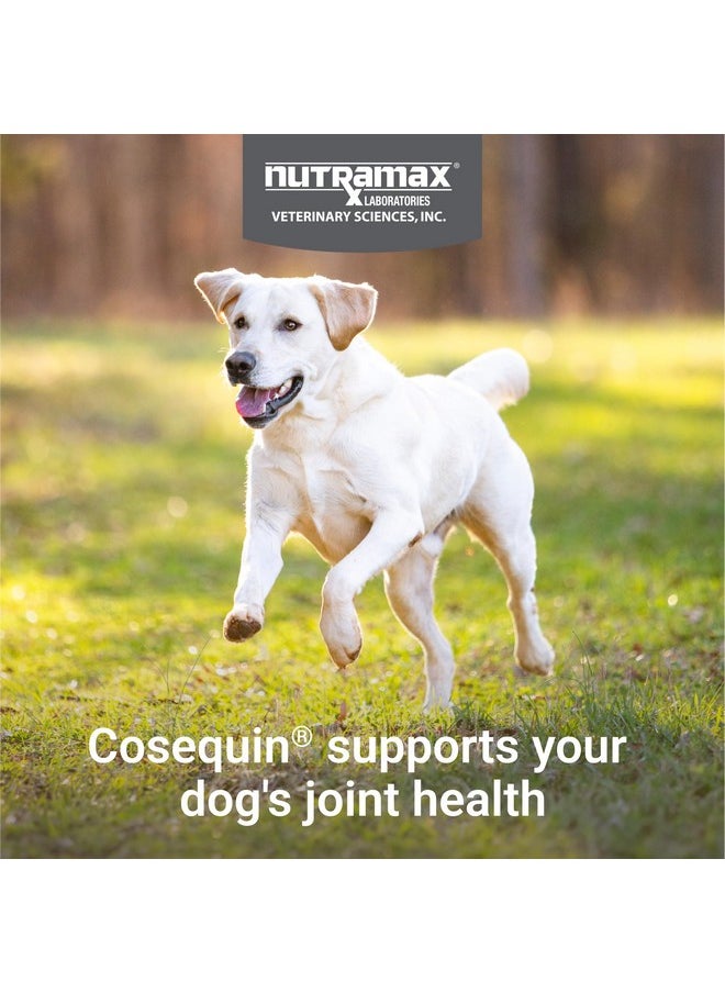 Nutramax Laboratories Nutramax Laboratories Cosequin Maximum Strength Joint Health Supplement for Dogs - With Glucosamine, Chondroitin, and MSM, 2 Pack, 264 Total Chewable Tablets  - Image 3