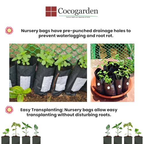 cocogarden Plastic UV Protected Poly Grow Bag for Seedling Nursery Cover Plant Bags (Black, 4 x 6 inch) - Pack of 50 | for Terrace and Balcony Gardening, Kitchen Vegetable and Flowering Plants - Image 4