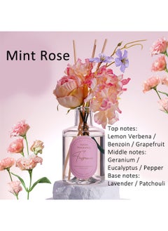 بيوينتي عطر الغرفة، ناشر عطر برائحة الزهور الحقيقية المحفوظة من القصب الحقيقي، مجموعة هدايا معطرة برائحة الزيوت العطرية العطرية تدوم طويلاً للمنزل والمكتب 200 مل (وردة النعناع)  - Image 2