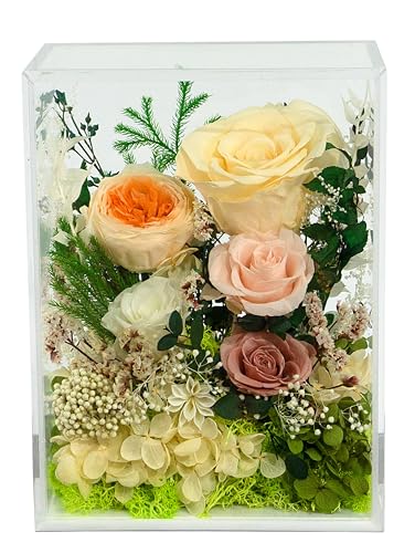 Valley of Rain & Forest Valley of Rain Forest LongLasting Real Flowers Handcrafted Preserved Rose Bush For you to Send Love for All Occasions Floral Arrangement for Indoor Decoration Yellow Champagne Rose - Image 1