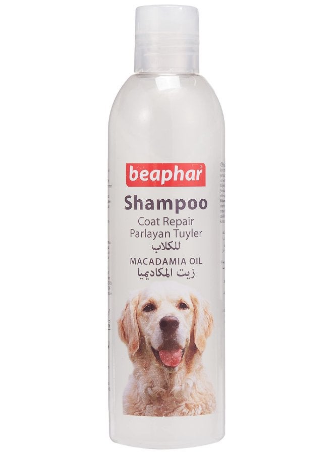 Beaphar Shampoo Macadamia Oil For Dogs 250ml - Image 1