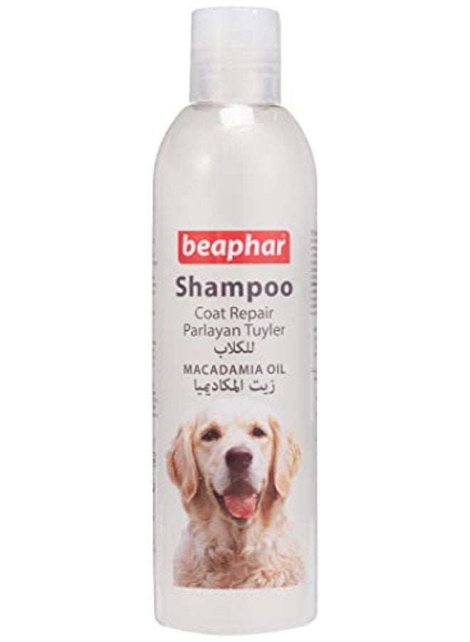 Beaphar Shampoo Macadamia Oil For Dogs 250ml - Image 2
