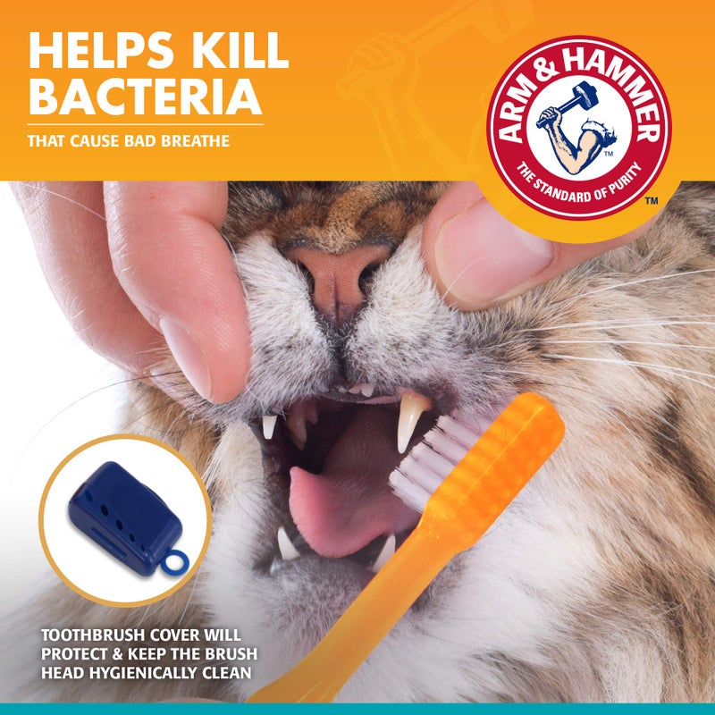 Arm and Hammer Fresh Breath Dental Kit for Kittens Cat Toothbrush and Toothpaste with Baking Soda Cat Oral Care Cat Dental Kit for Kittens in Tuna Flavor & Fresh Mint Scent for Cat Teeth Cleaning - Image 3
