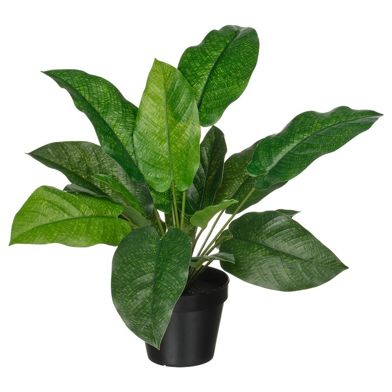FEJKA Artificial Potted Calathea Plant, Green, 12 cm Pot - Image 1
