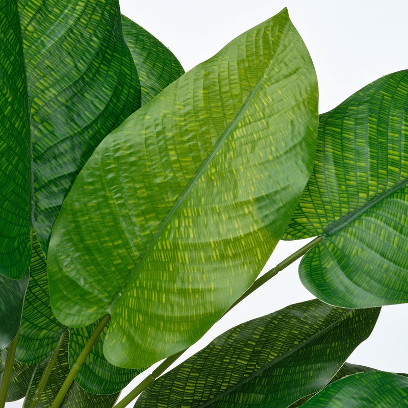 FEJKA Artificial Potted Calathea Plant, Green, 12 cm Pot - Image 4